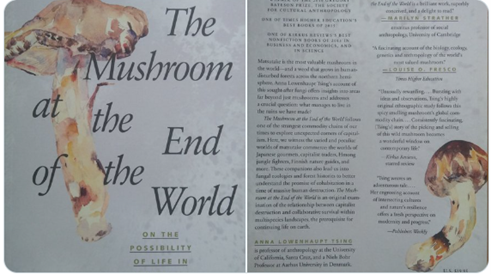 The Mushroom at the End of the World by Anna Tsing